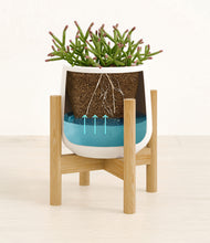 Load image into Gallery viewer, White stand:bamboo