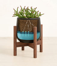 Load image into Gallery viewer, Black stand:walnut