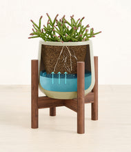 Load image into Gallery viewer, Turquoise stand:walnut