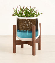 Load image into Gallery viewer, White stand:walnut