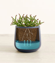 Load image into Gallery viewer, Deep Navy