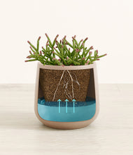 Load image into Gallery viewer, Eternal Gray