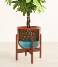 Load image into Gallery viewer, Earth Red stand:walnut