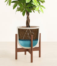 Load image into Gallery viewer, Natural Bamboo stand:walnut