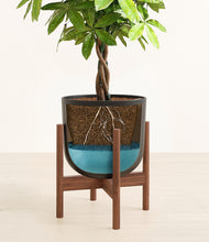 Load image into Gallery viewer, Stone Black stand:walnut