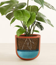 Load image into Gallery viewer, Earth Red