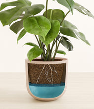 Load image into Gallery viewer, Sandy Pink