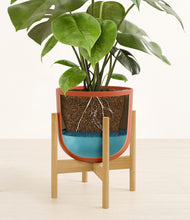 Load image into Gallery viewer, Earth Red stand:bamboo
