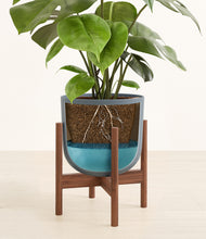 Load image into Gallery viewer, Iron Gray stand:walnut