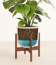 Load image into Gallery viewer, Natural Bamboo stand:walnut