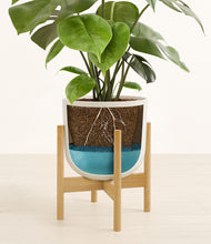Load image into Gallery viewer, Natural Bamboo stand:bamboo