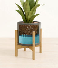 Load image into Gallery viewer, Dark Olive stand:bamboo