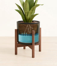 Load image into Gallery viewer, Black stand:walnut