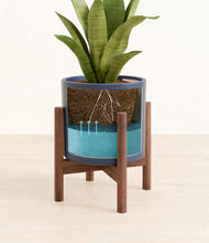 Load image into Gallery viewer, Deep Navy stand:walnut