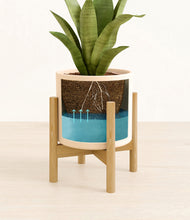 Load image into Gallery viewer, Cream stand:bamboo