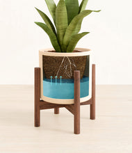 Load image into Gallery viewer, Cream stand:walnut