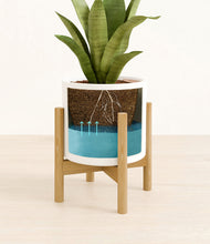 Load image into Gallery viewer, White stand:bamboo