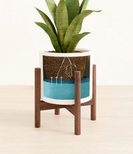 Load image into Gallery viewer, White stand:walnut