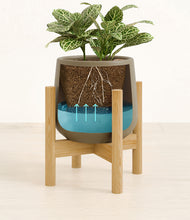 Load image into Gallery viewer, Olive stand:bamboo