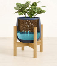 Load image into Gallery viewer, Deep Navy stand:bamboo