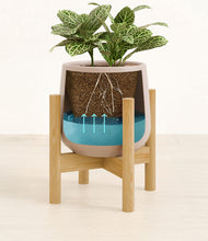 Load image into Gallery viewer, Eternal Gray stand:bamboo