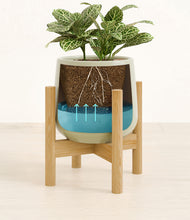 Load image into Gallery viewer, Turquoise stand:bamboo