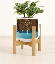 Load image into Gallery viewer, White stand:bamboo