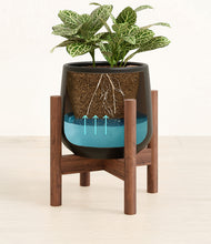 Load image into Gallery viewer, Black stand:walnut