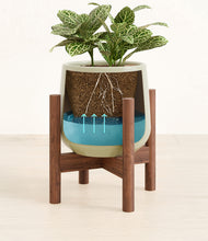 Load image into Gallery viewer, Turquoise stand:walnut