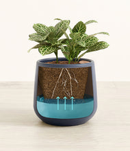 Load image into Gallery viewer, Deep Navy