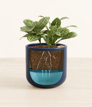 Load image into Gallery viewer, Twilight Blue