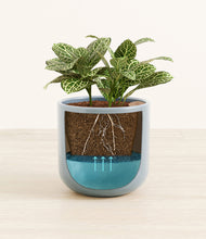 Load image into Gallery viewer, Misty Blue