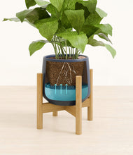 Load image into Gallery viewer, Deep Navy stand:bamboo