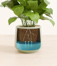 Load image into Gallery viewer, Turquoise