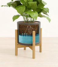 Load image into Gallery viewer, Dark Olive stand:bamboo