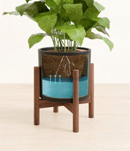 Load image into Gallery viewer, Black stand:walnut