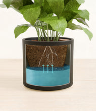 Load image into Gallery viewer, Black