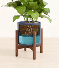 Load image into Gallery viewer, Deep Navy stand:walnut