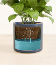 Load image into Gallery viewer, Deep Navy