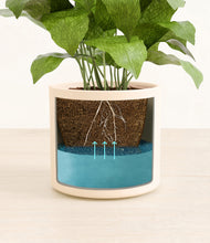 Load image into Gallery viewer, Cream