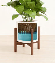 Load image into Gallery viewer, White stand:walnut