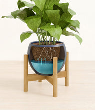 Load image into Gallery viewer, Deep Navy stand:bamboo