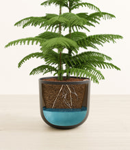 Load image into Gallery viewer, Stone Black