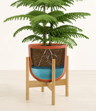Load image into Gallery viewer, Earth Red stand:bamboo
