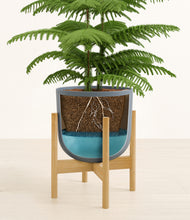 Load image into Gallery viewer, Iron Gray stand:bamboo