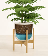 Load image into Gallery viewer, Natural Bamboo stand:bamboo