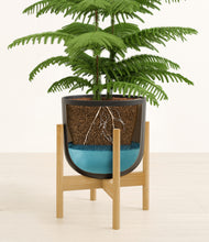 Load image into Gallery viewer, Stone Black stand:bamboo