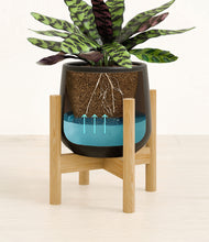 Load image into Gallery viewer, Black stand:bamboo