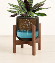 Load image into Gallery viewer, Black stand:walnut