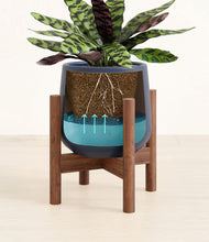 Load image into Gallery viewer, Deep Navy stand:walnut